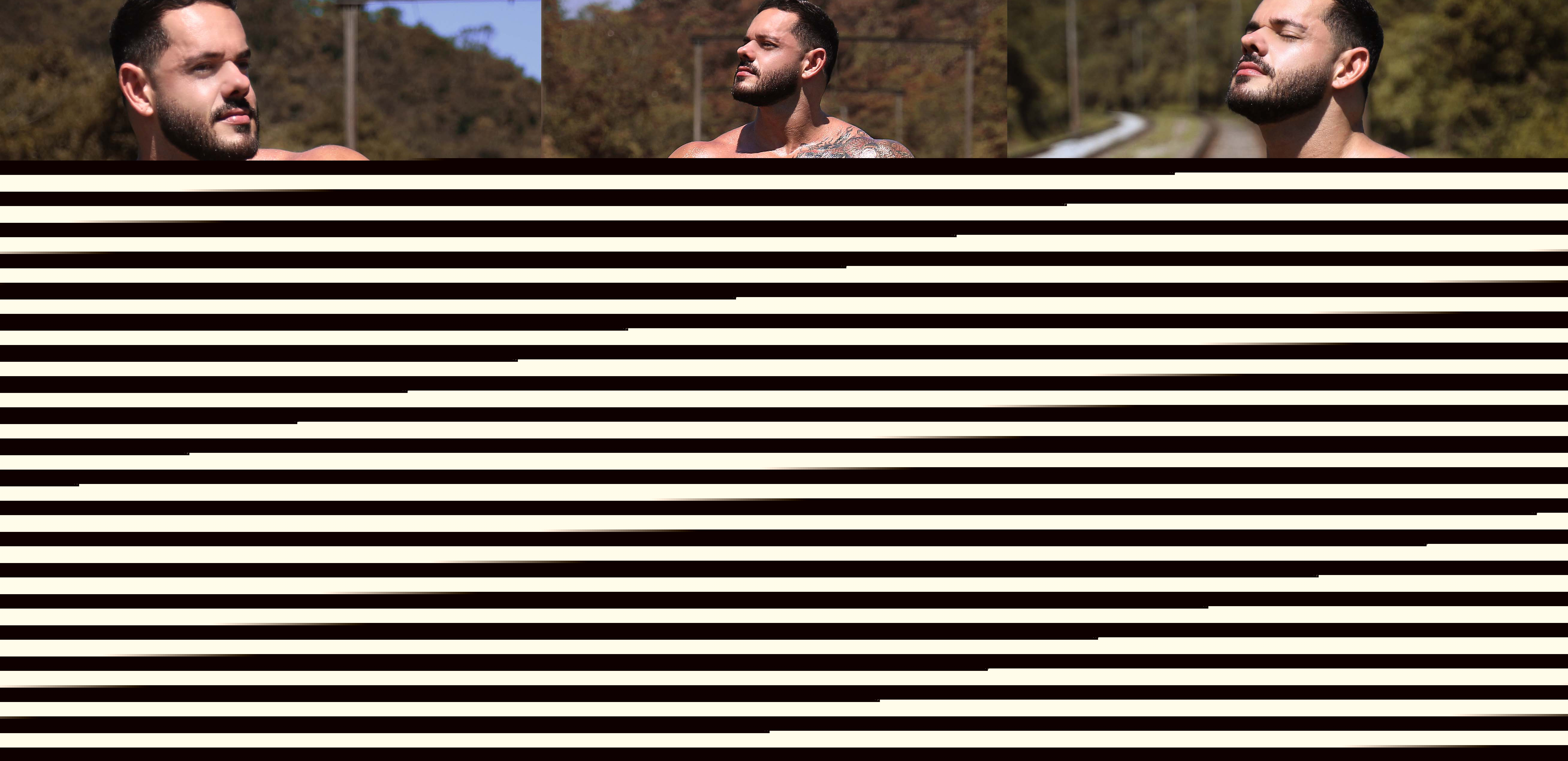 Thiago Fênix